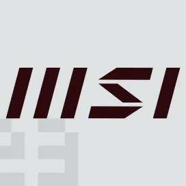 Msi 02